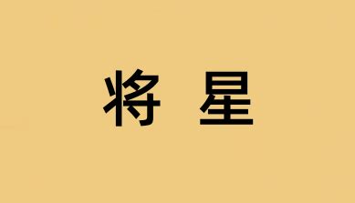 將星 八字